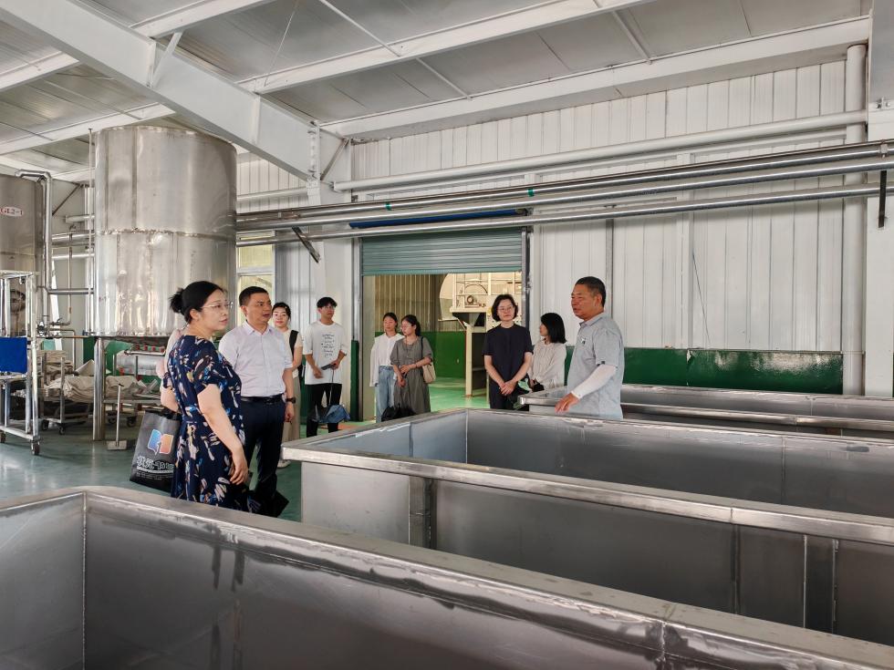 區(qū)政協(xié)組織暑期社會(huì)實(shí)踐大學(xué)生開(kāi)展技術(shù)咨詢(xún)與紅色教育活動(dòng)